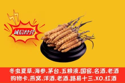 中山黄圃镇名酒回收冬虫夏草.jpg